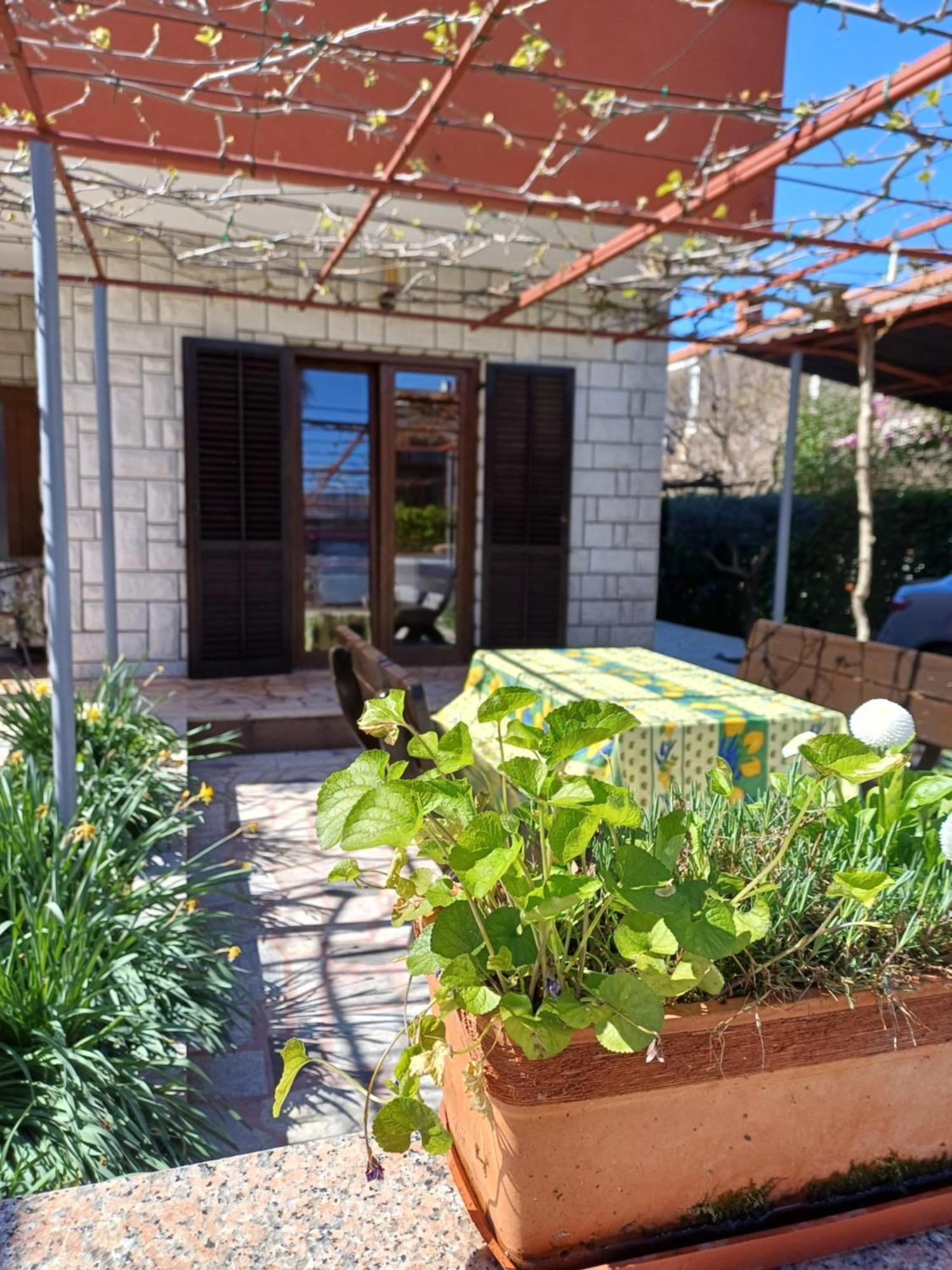 Apartments Grahovac Умаг Екстериор снимка