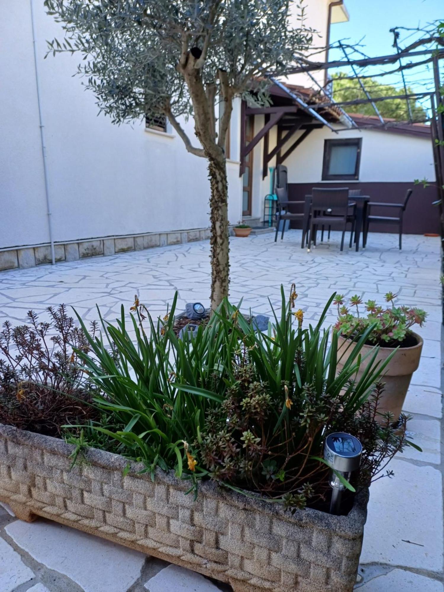 Apartments Grahovac Умаг Екстериор снимка