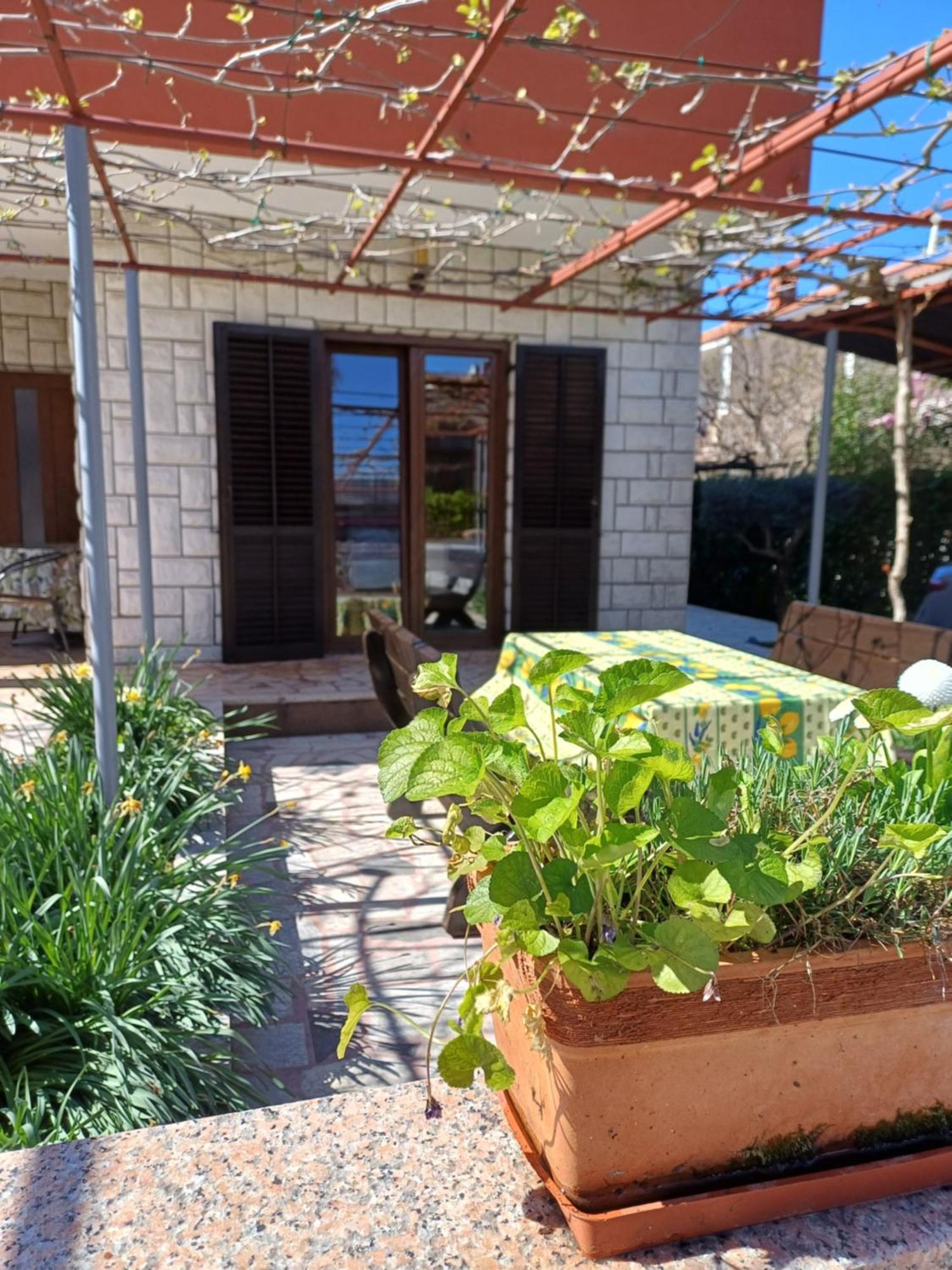 Apartments Grahovac Умаг Екстериор снимка